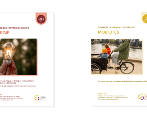 publication synthese energie et mobilites