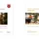 publication synthese energie et mobilites