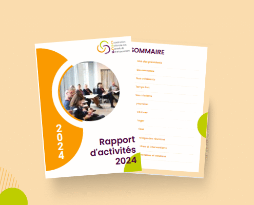 illustration rapport activités 2024 de la CNCD