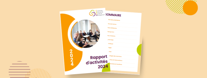illustration rapport activités 2024 de la CNCD