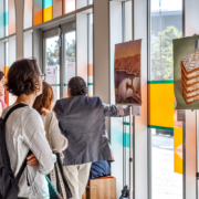 exposition-cd-toulouse