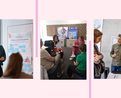 photos illustrant l'animation d'un conseil de développement