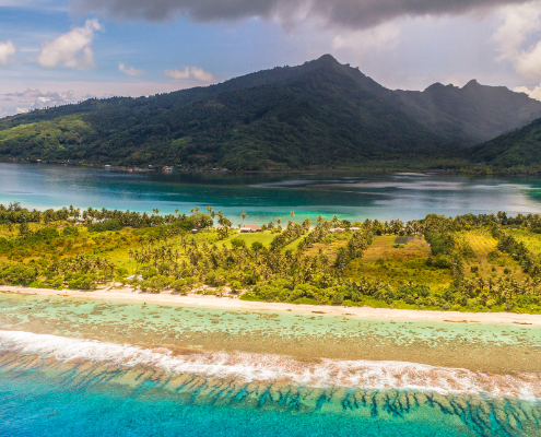 conseil de développement obligatoire tahiti