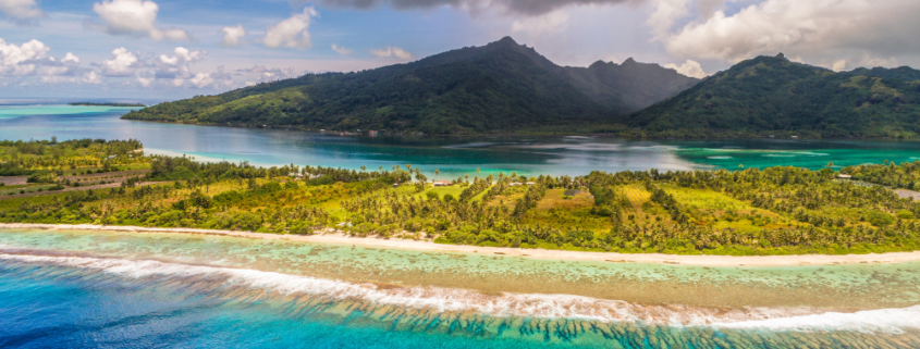 conseil de développement obligatoire tahiti