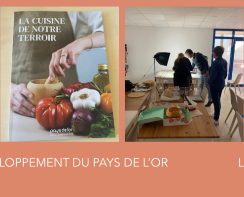 livre recettes - codev pays de l'or