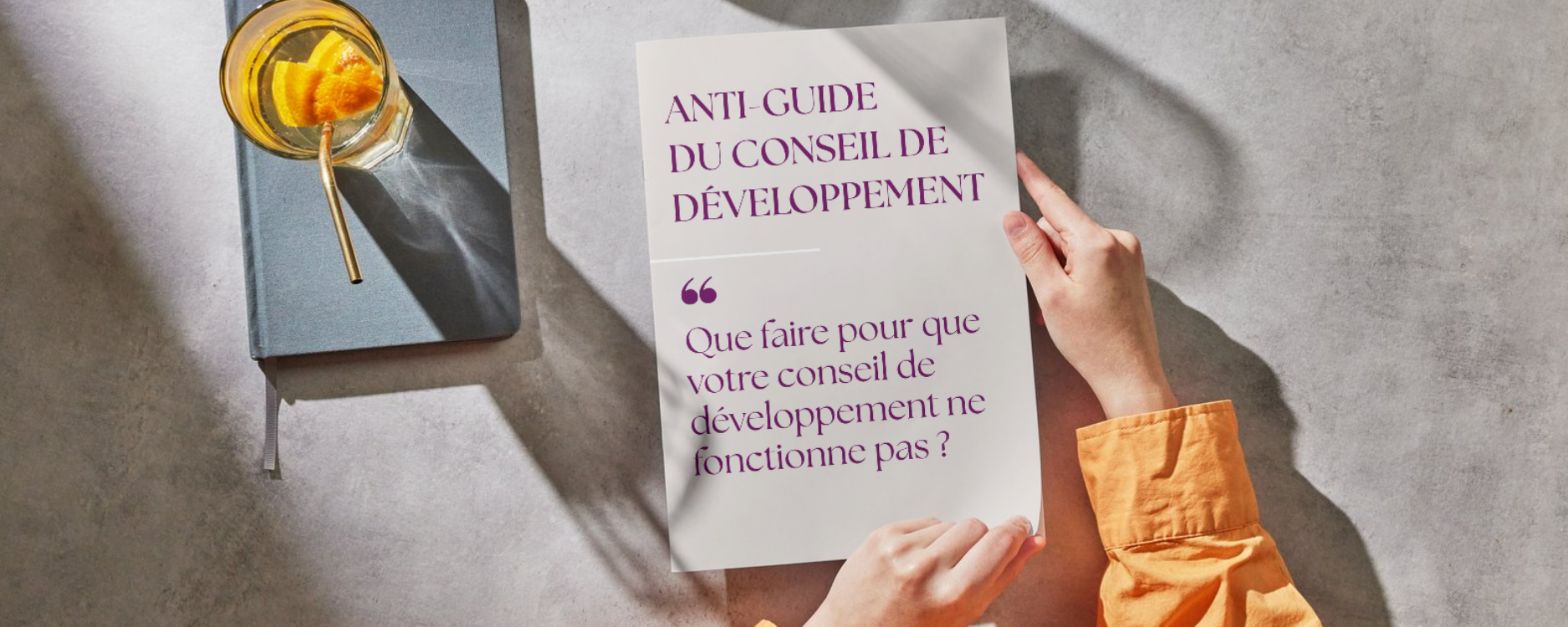 anti-guide du conseil de développement - cncd anti-guide du conseil de développement - cncd